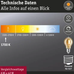 1879 Filament 230V - LED Birne E27