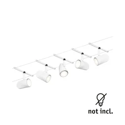 CorDuo Seilsystem - Cup Basisset