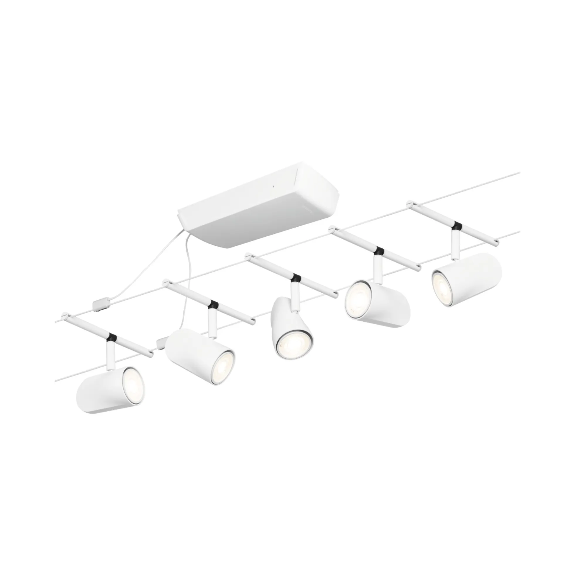CorDuo Seilsystem - Cup Basisset