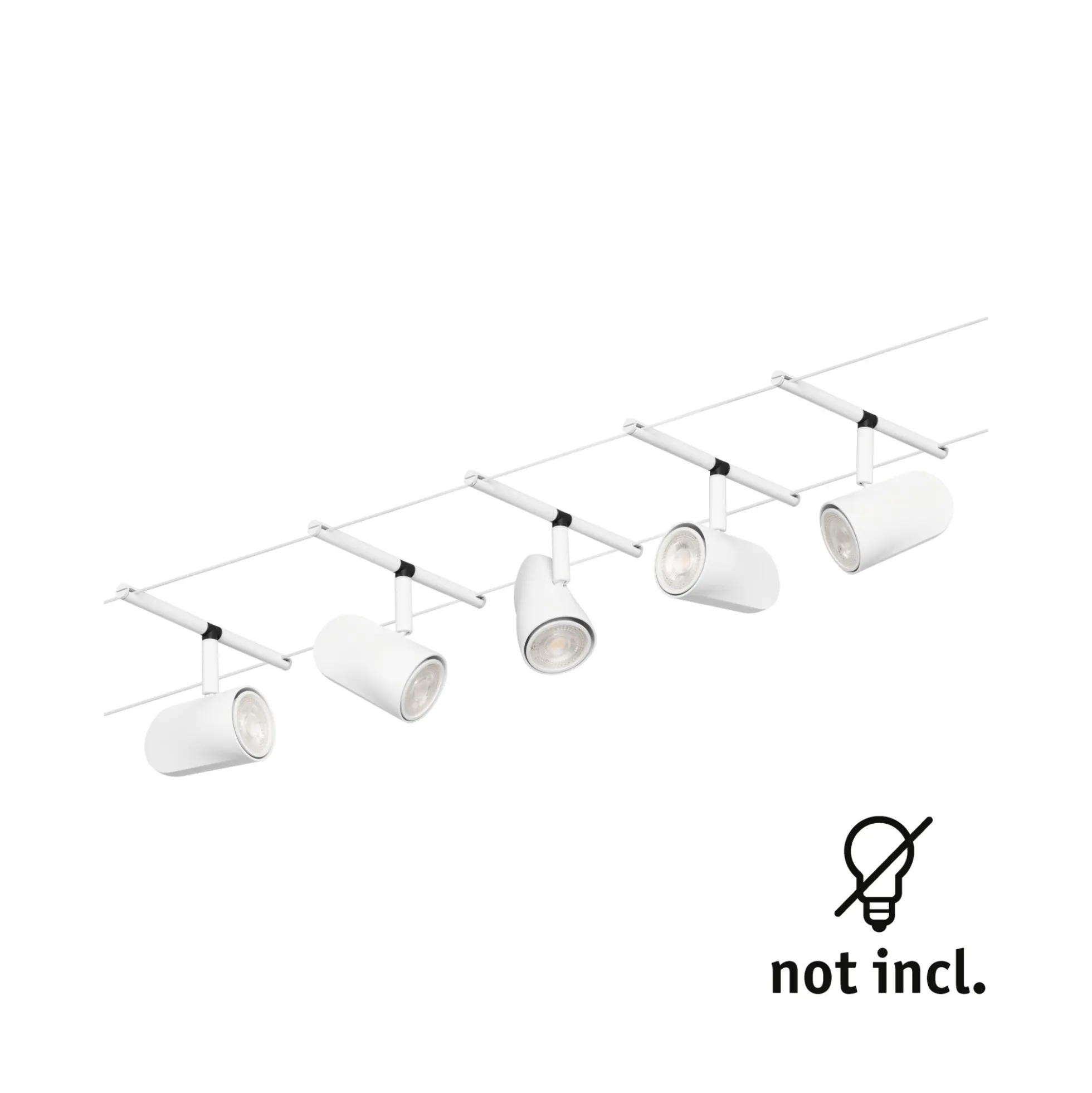 CorDuo Seilsystem - Cup Basisset