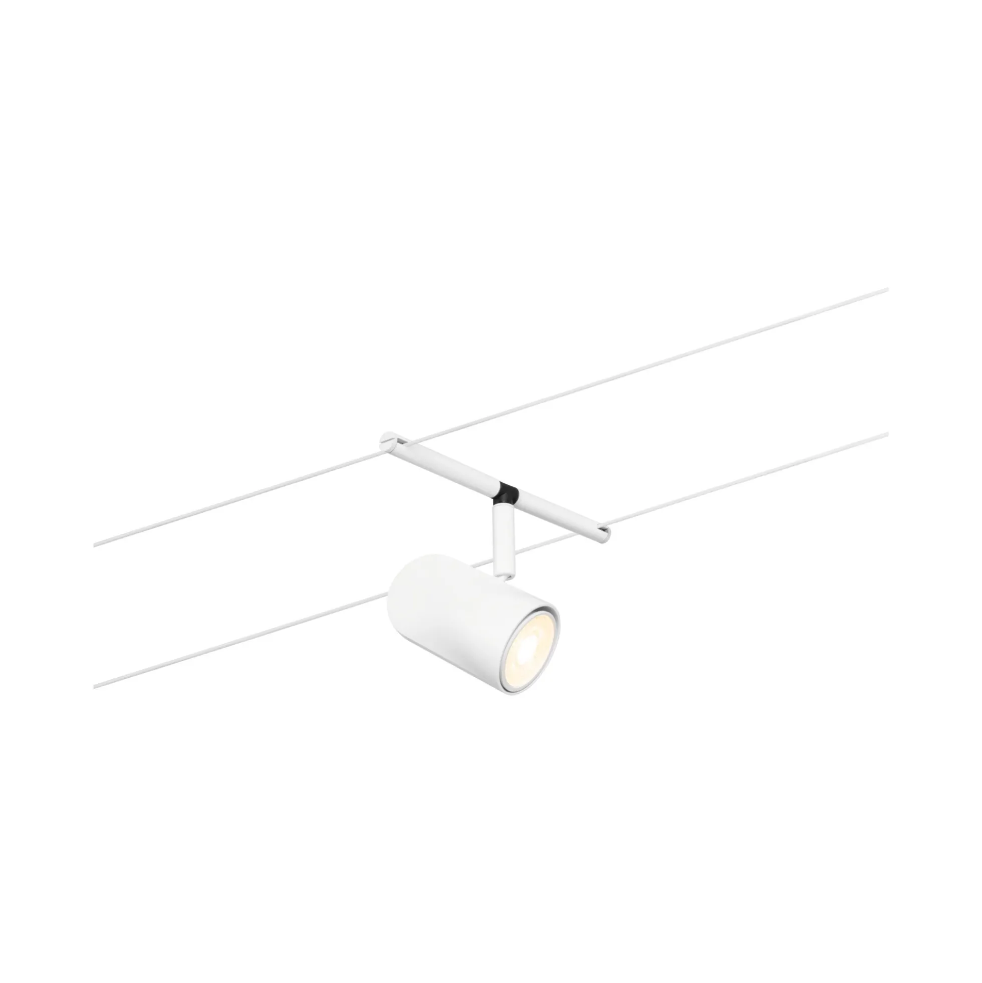 CorDuo Seilsystem - Cup Basisset