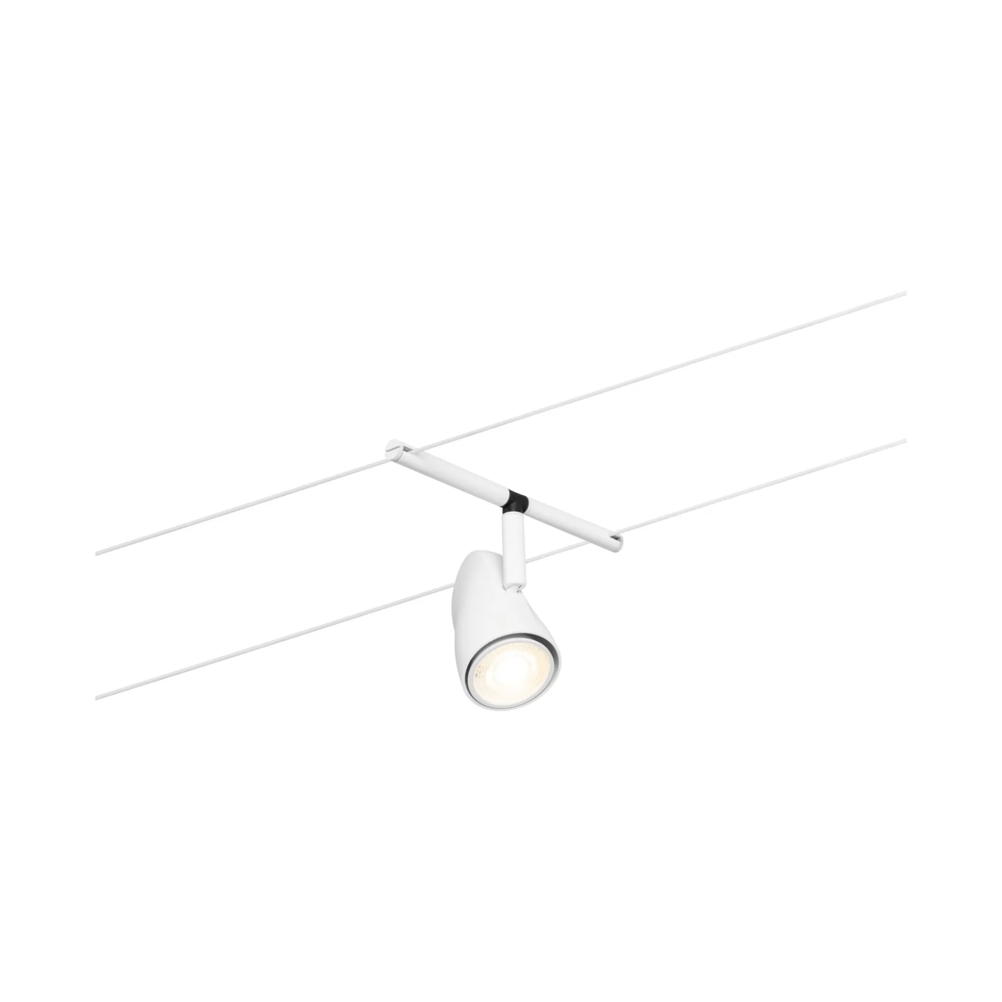 CorDuo Seilsystem - Cup Basisset