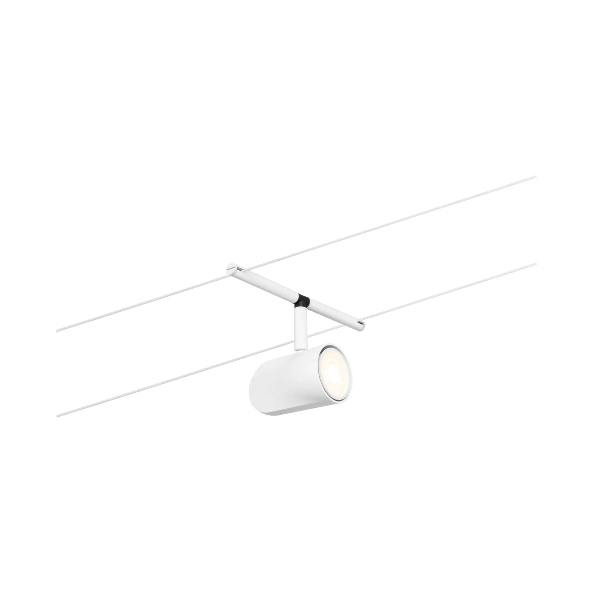 CorDuo Seilsystem - Cup Basisset