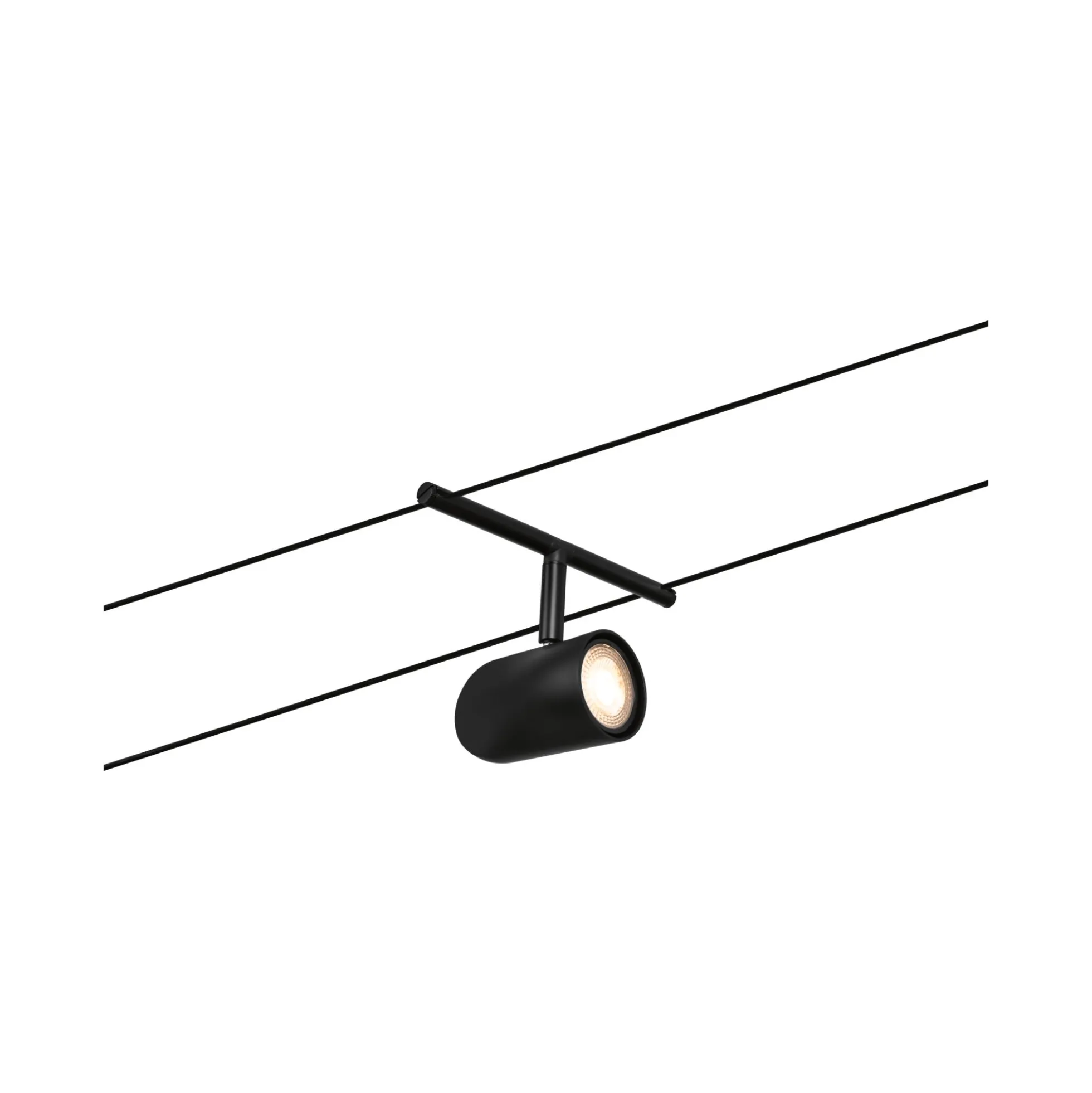 CorDuo Seilsystem - Cup Einzelspot
