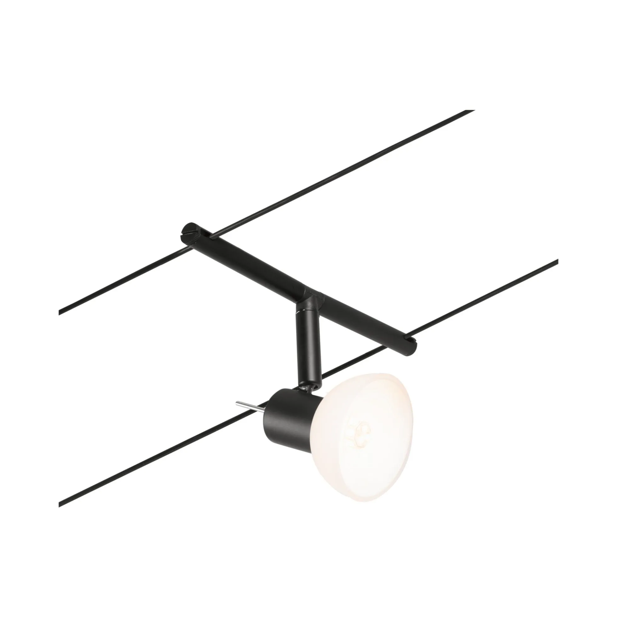 CorDuo Seilsystem - Sheela Basisset