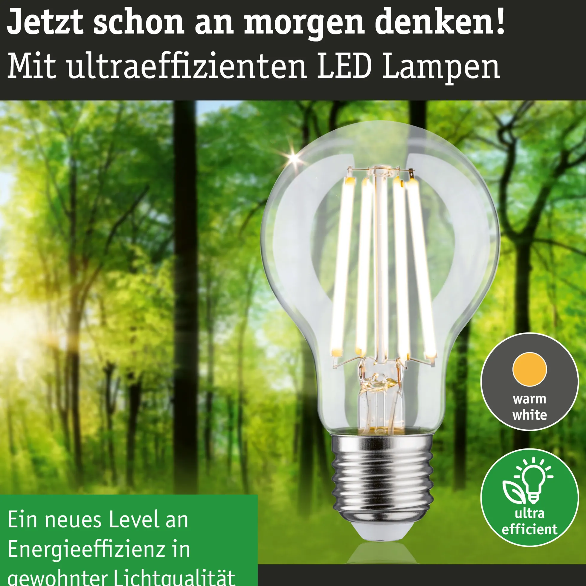 Efficient-Line Filament 230V - LED Birne 1er-Set