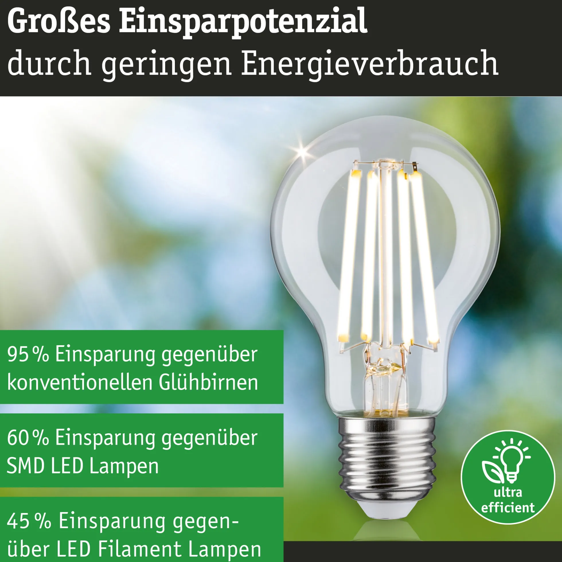 Efficient-Line Filament 230V - LED Birne 1er-Set