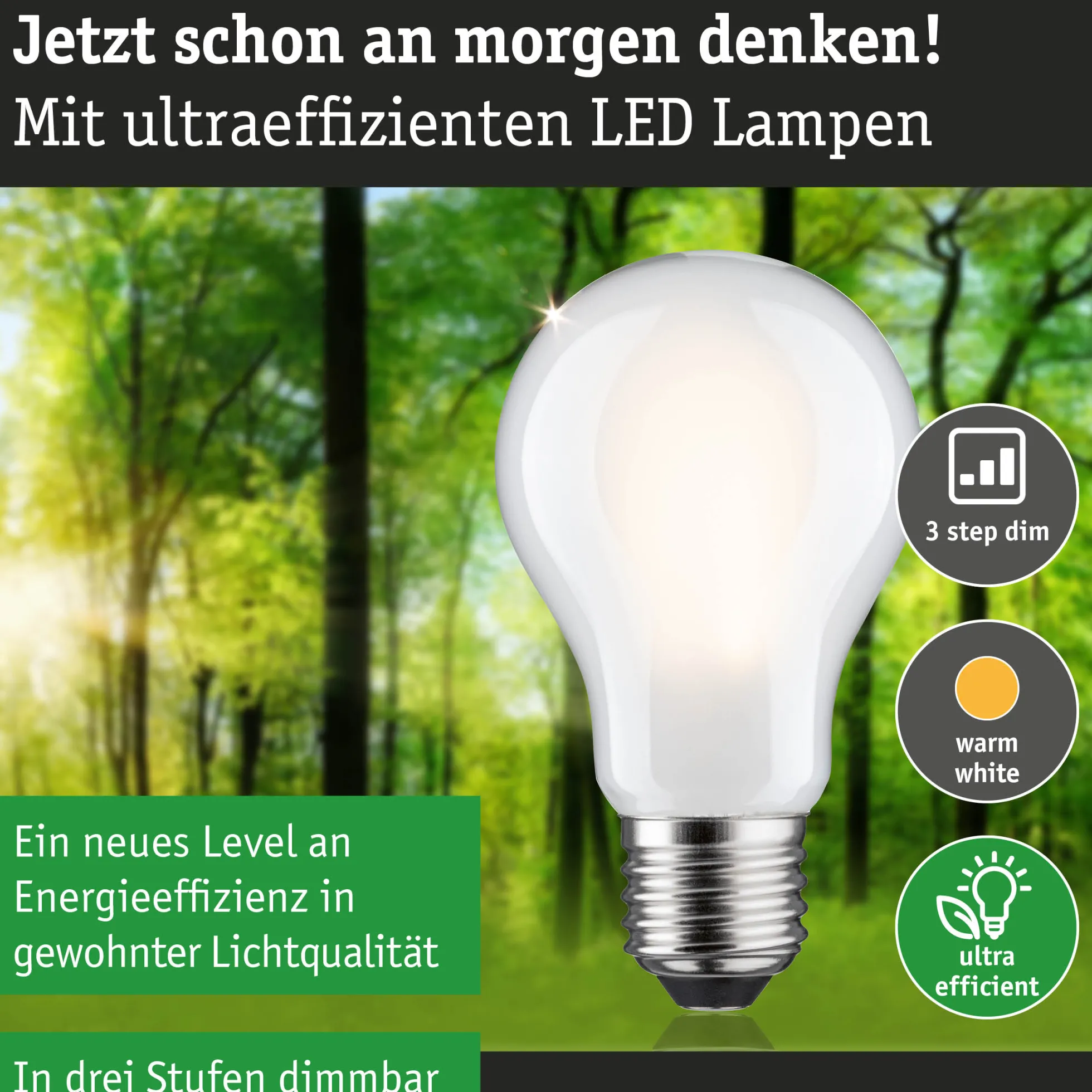 Efficient-Line Filament 230V - LED Birne Einzelleuchte