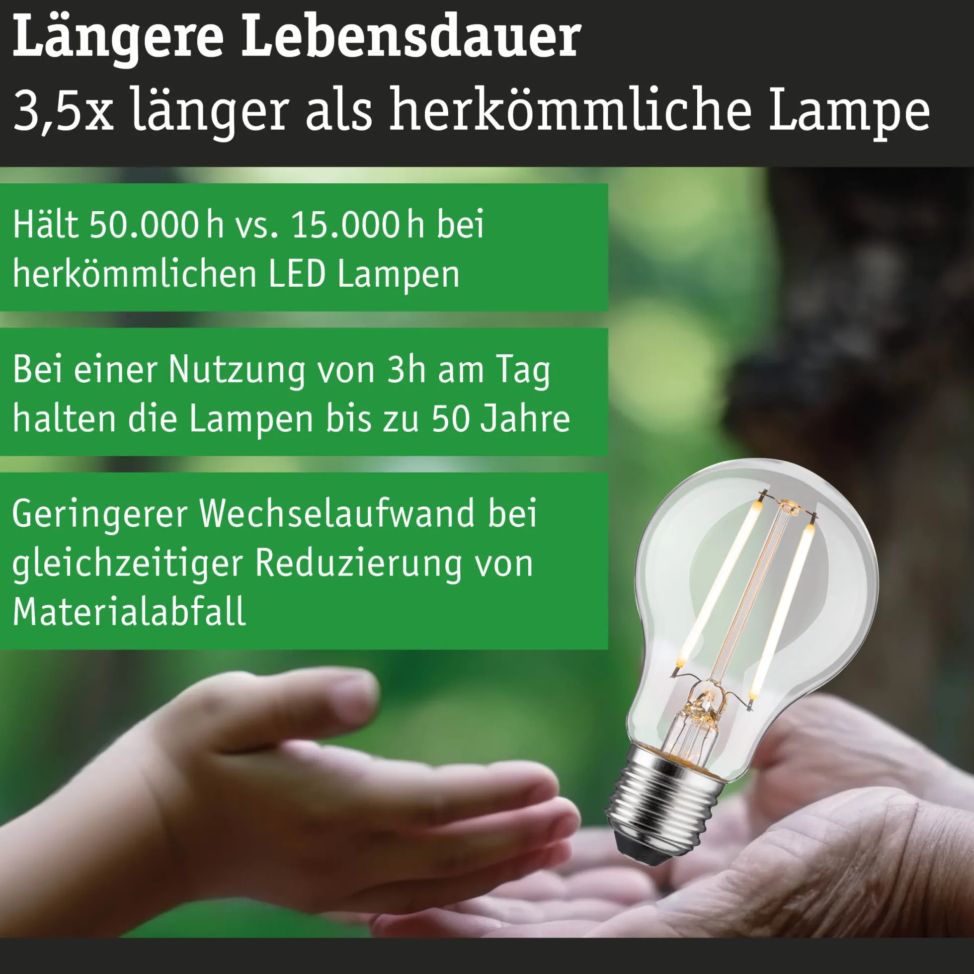 Efficient-Line Filament 230V - LED Birne Einzelleuchte