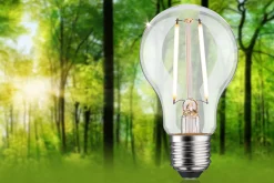 Efficient-Line Filament 230V - LED Birne Einzelleuchte