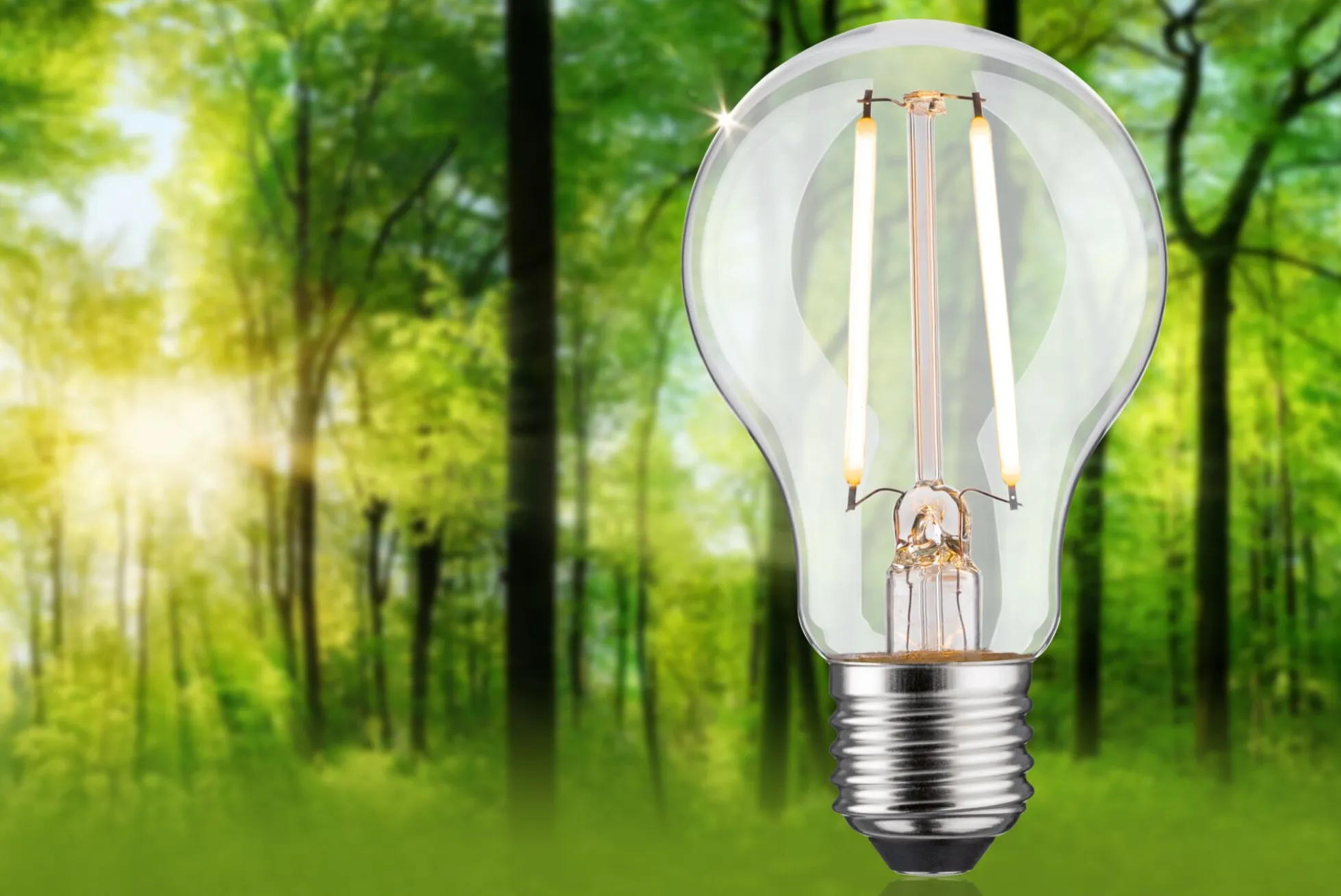 Efficient-Line Filament 230V - LED Birne Einzelleuchte