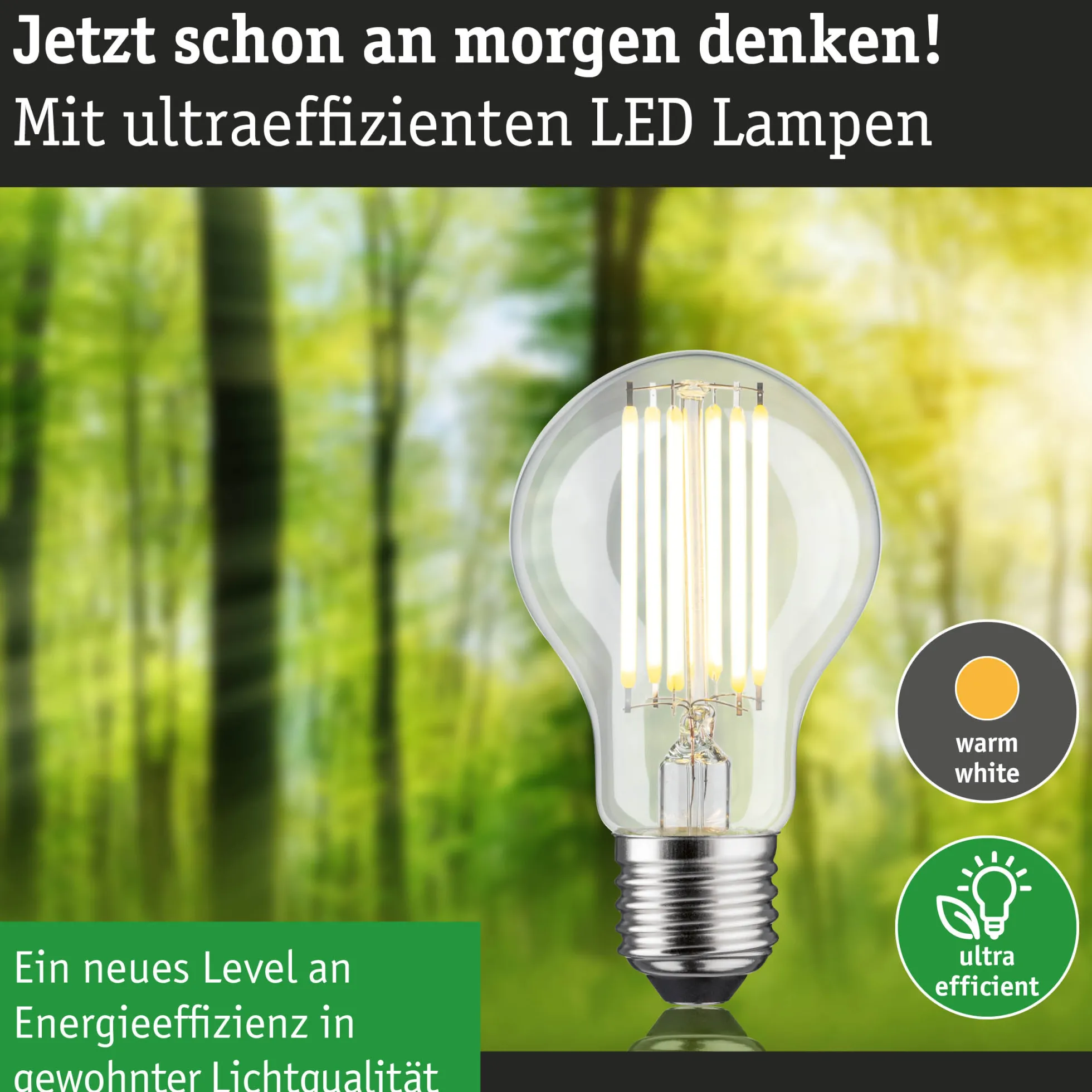 Efficient-Line Filament 230V - LED Birne Einzelleuchte