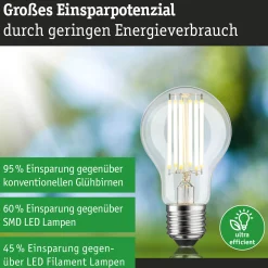 Efficient-Line Filament 230V - LED Birne Einzelleuchte