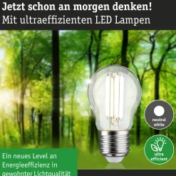 Efficient-Line Filament 230V - LED Tropfen 1er-Set 80mm