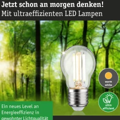 Efficient-Line Filament 230V - LED Tropfen 1er-Set 80mm