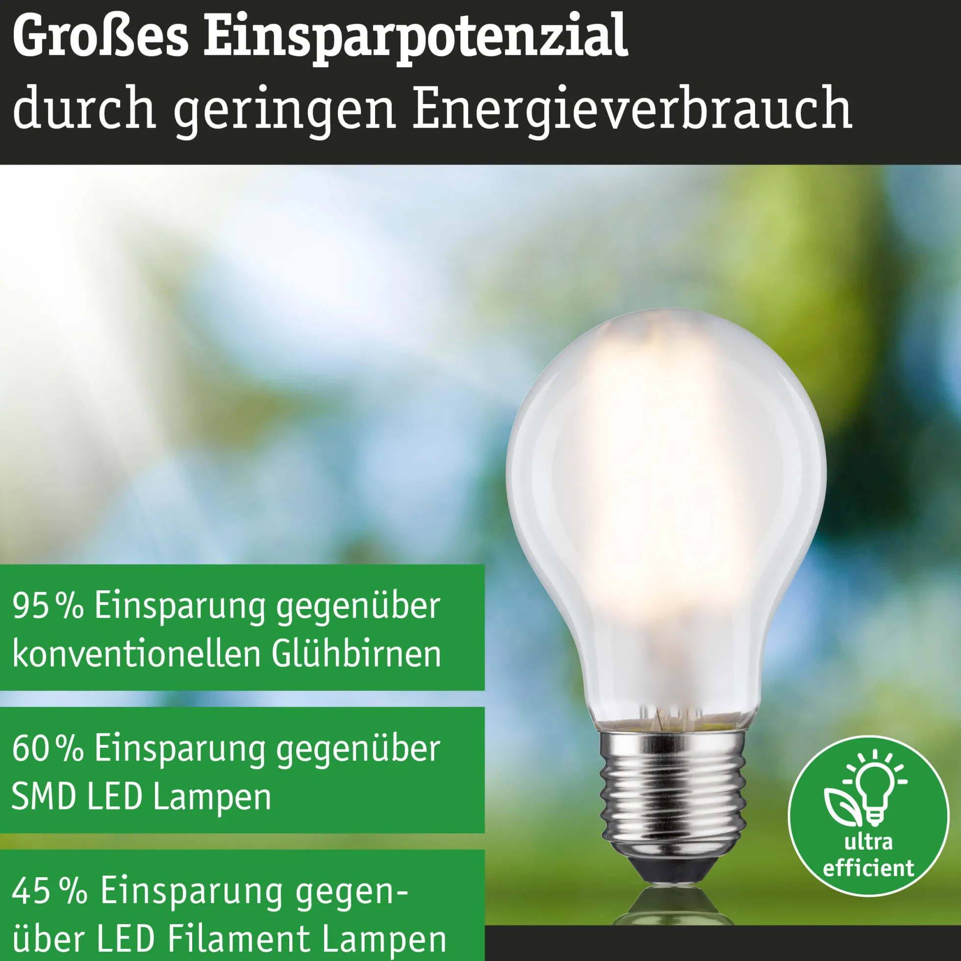 Efficient-Line Filament 230V - LED Birne Einzelleuchte