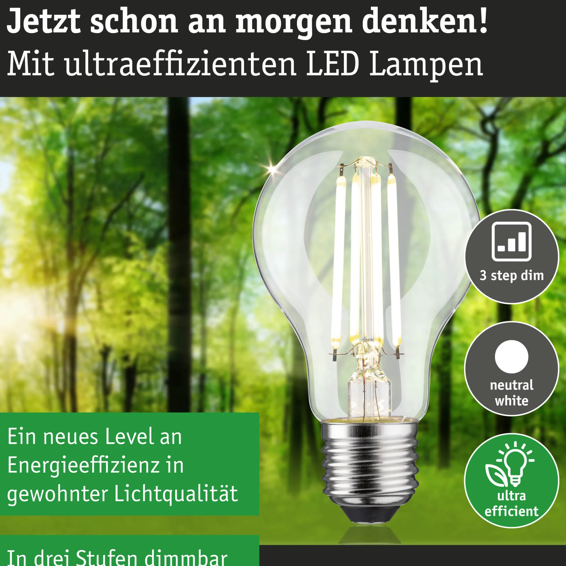 Efficient-Line Filament 230V - LED Birne Einzelleuchte
