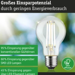 Efficient-Line Filament 230V - LED Birne Einzelleuchte