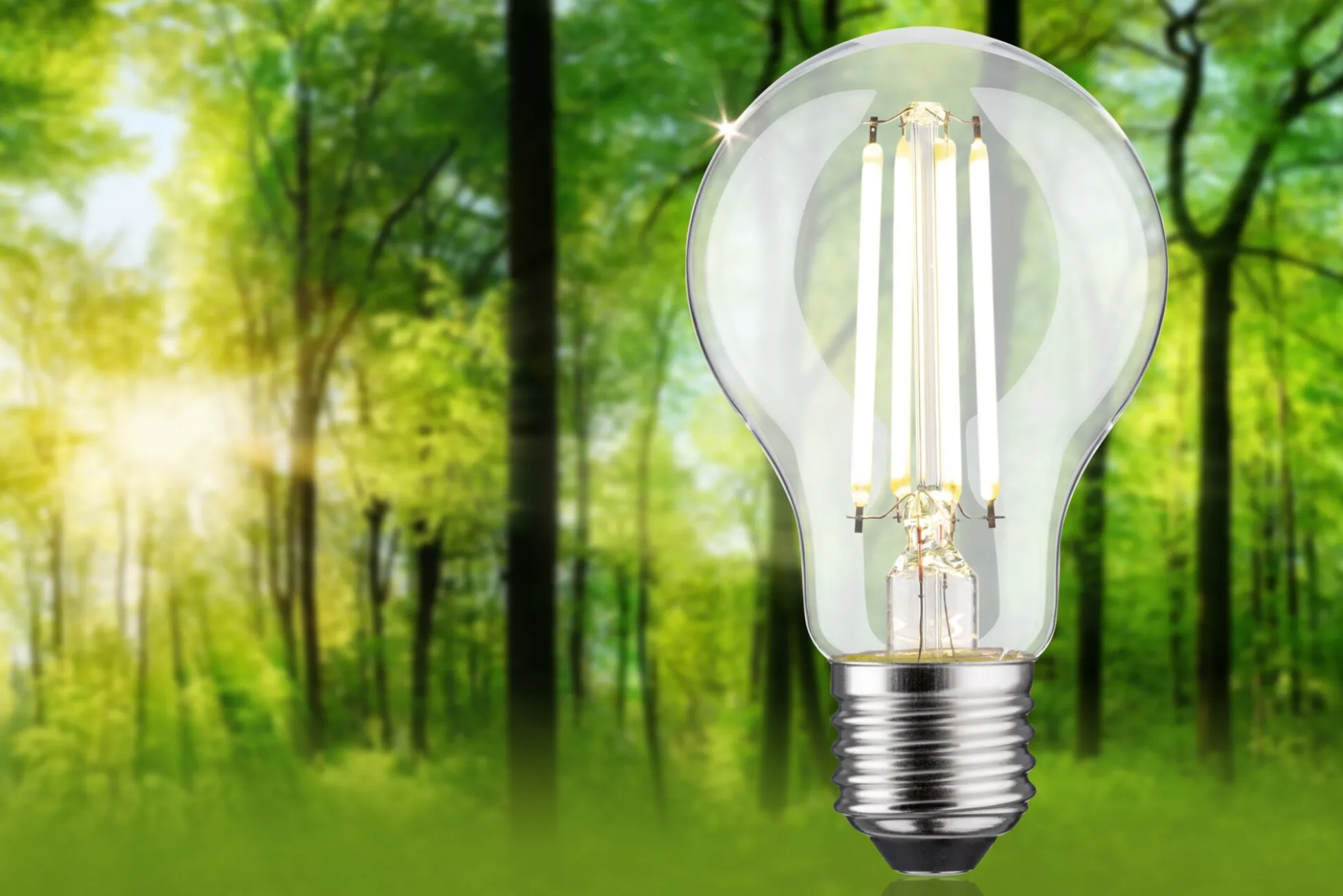 Efficient-Line Filament 230V - LED Birne Einzelleuchte