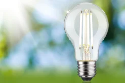 Efficient-Line Filament 230V - LED Birne Einzelleuchte