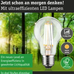 Efficient-Line Filament 230V - LED Birne Einzelleuchte