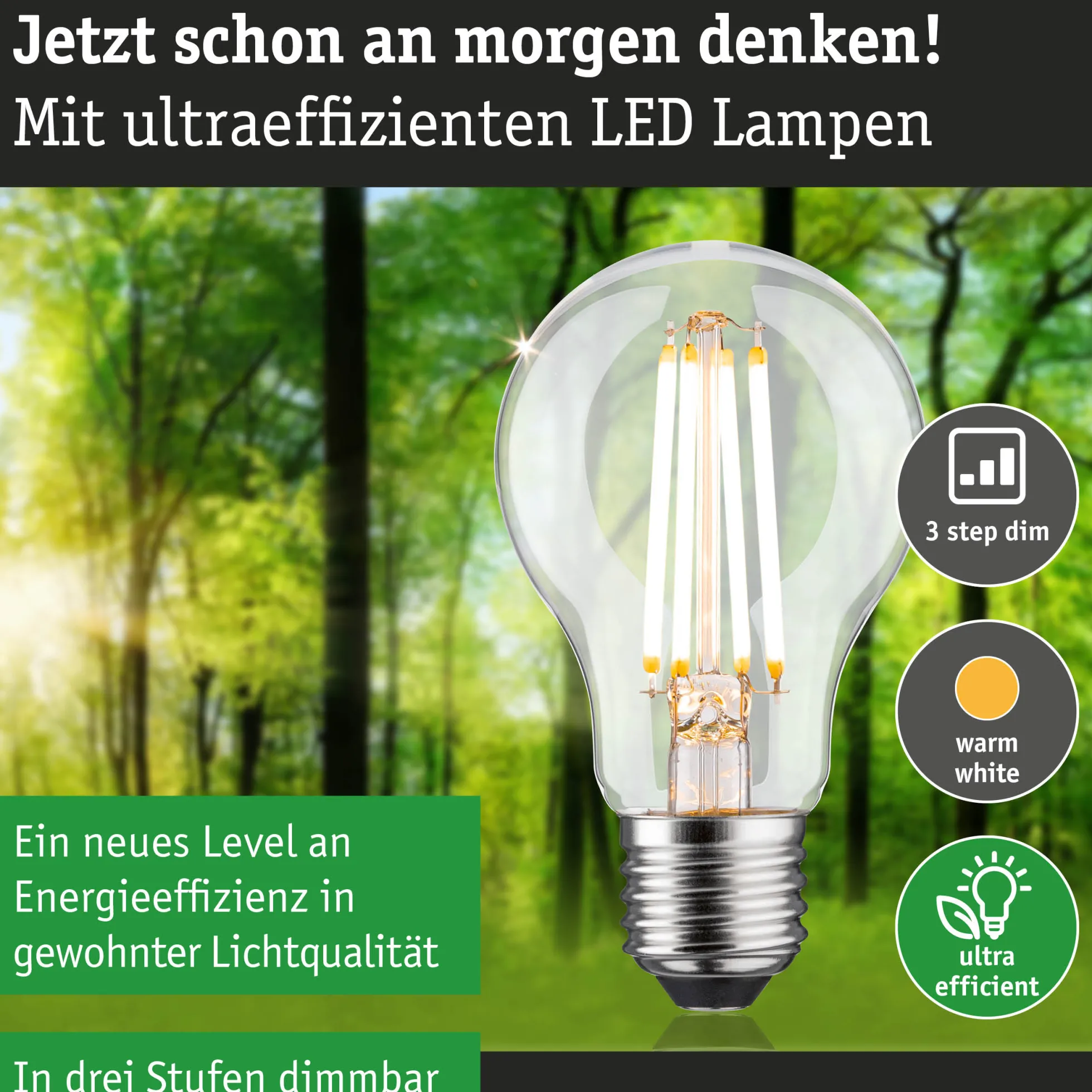 Efficient-Line Filament 230V - LED Birne Einzelleuchte