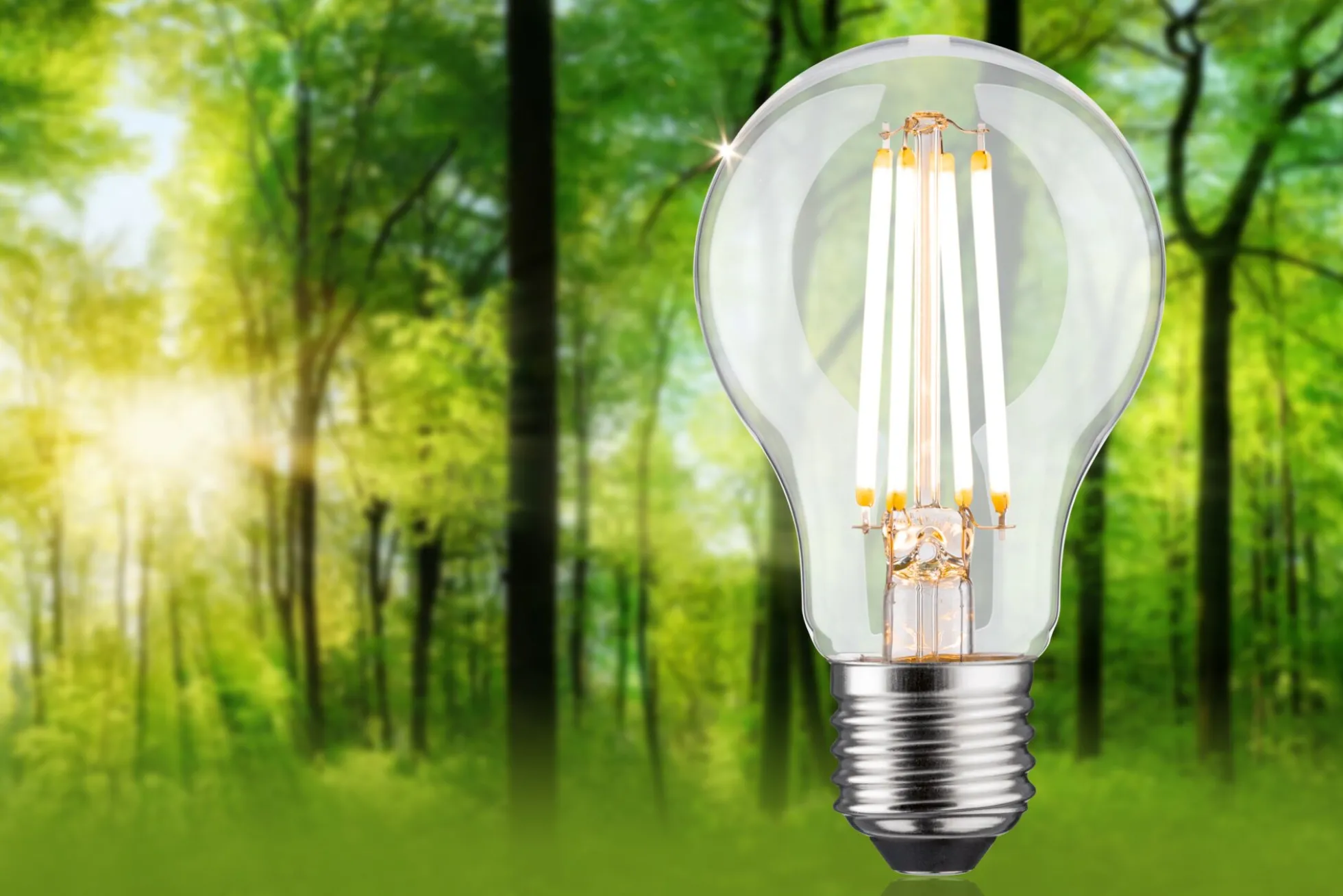 Efficient-Line Filament 230V - LED Birne Einzelleuchte