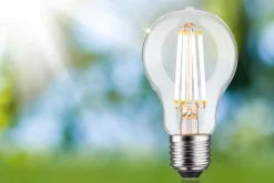Efficient-Line Filament 230V - LED Birne Einzelleuchte