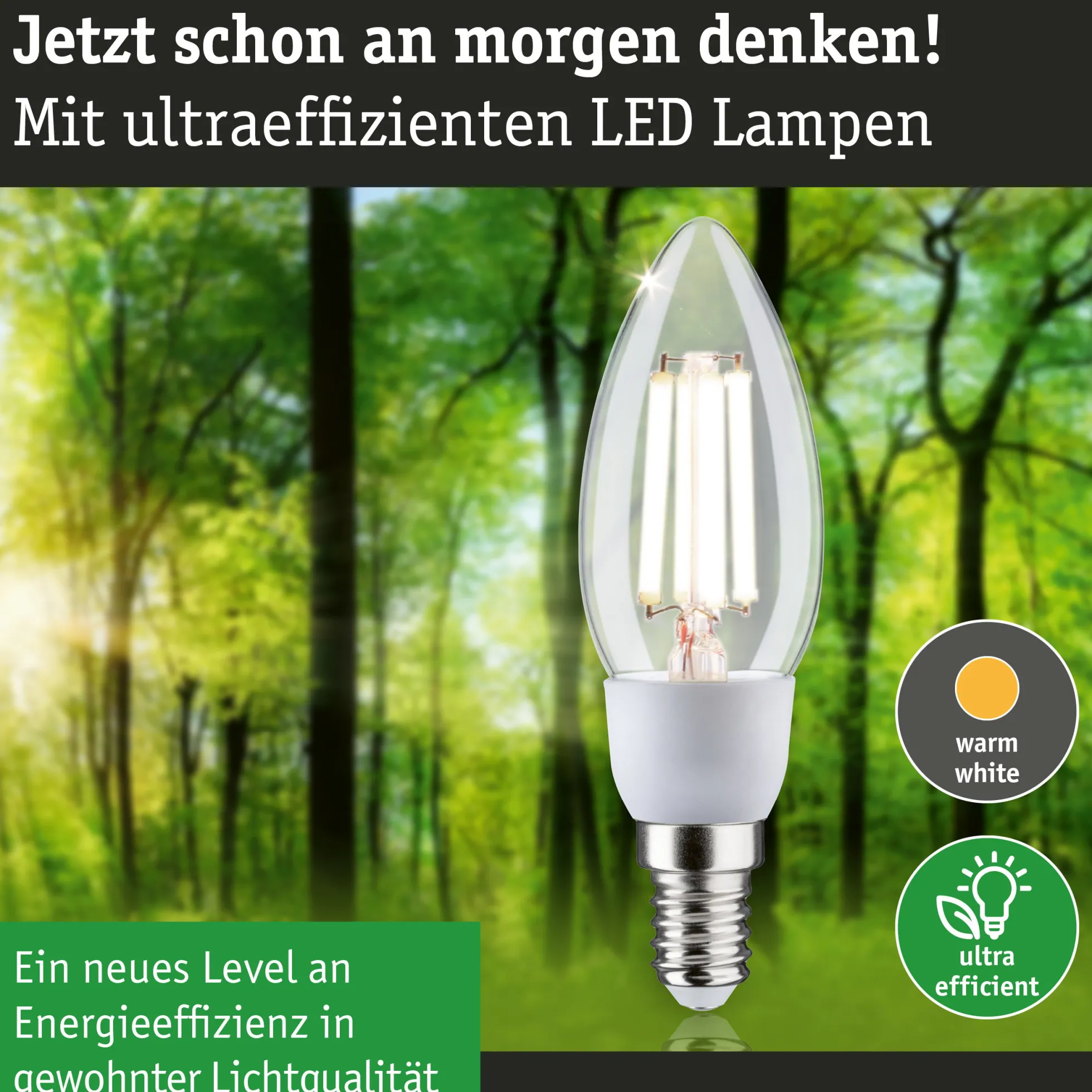 Efficient-Line Filament 230V - LED Kerze E14