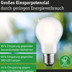 Efficient-Line Filament 230V - LED Birne Einzelleuchte