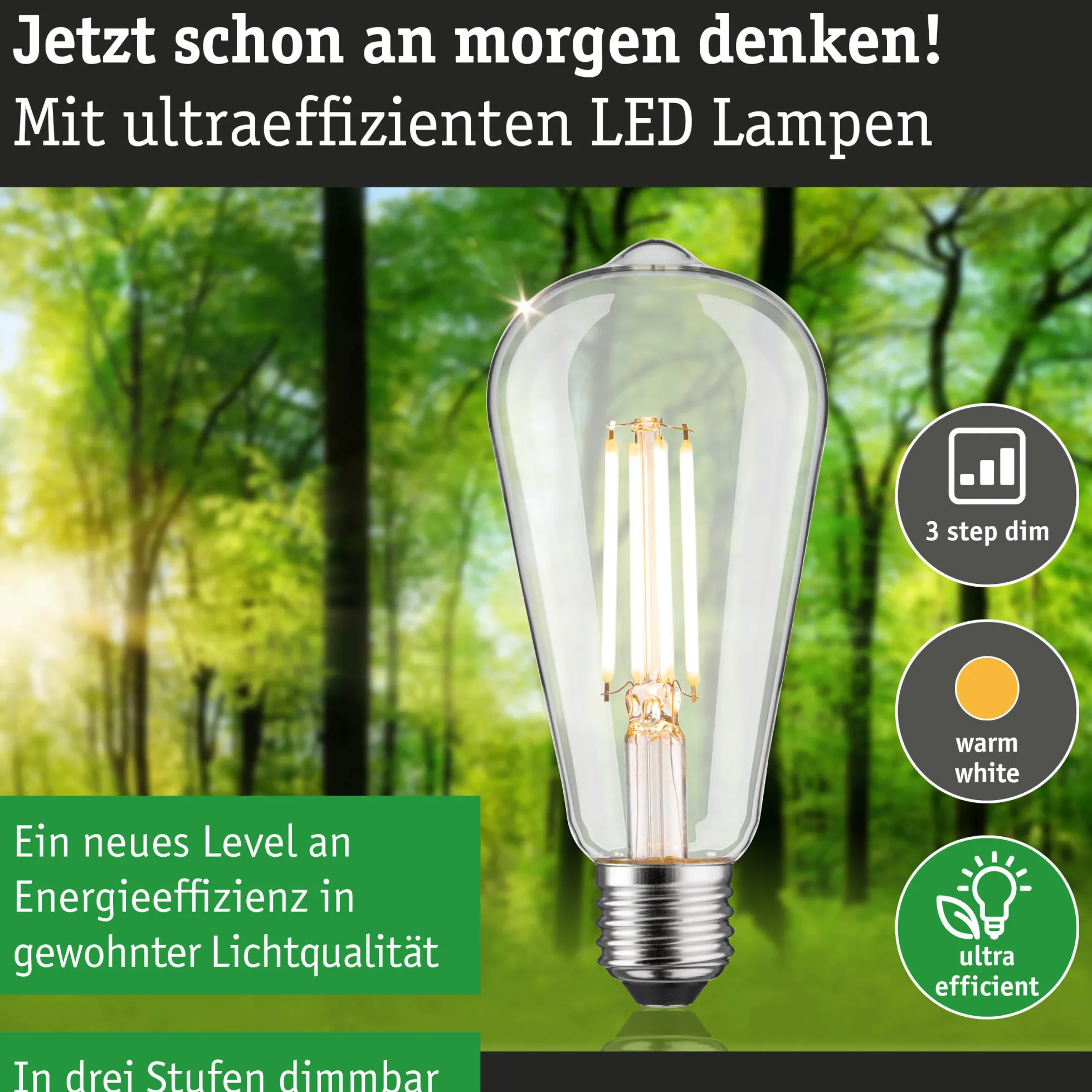 Efficient-Line Filament 230V - LED Kolben ST64 E27