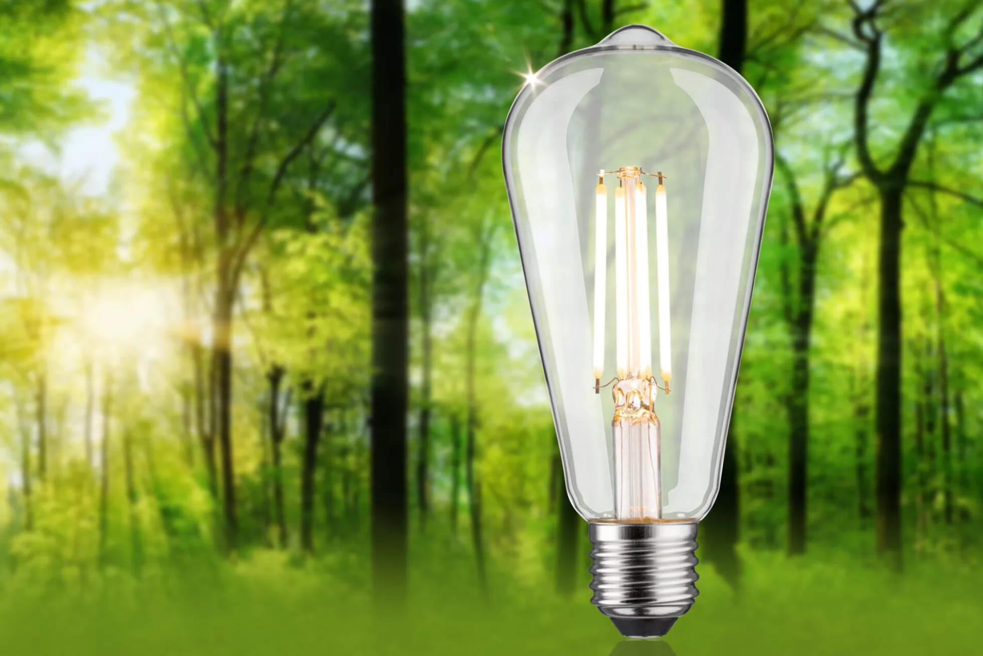 Efficient-Line Filament 230V - LED Kolben ST64 E27