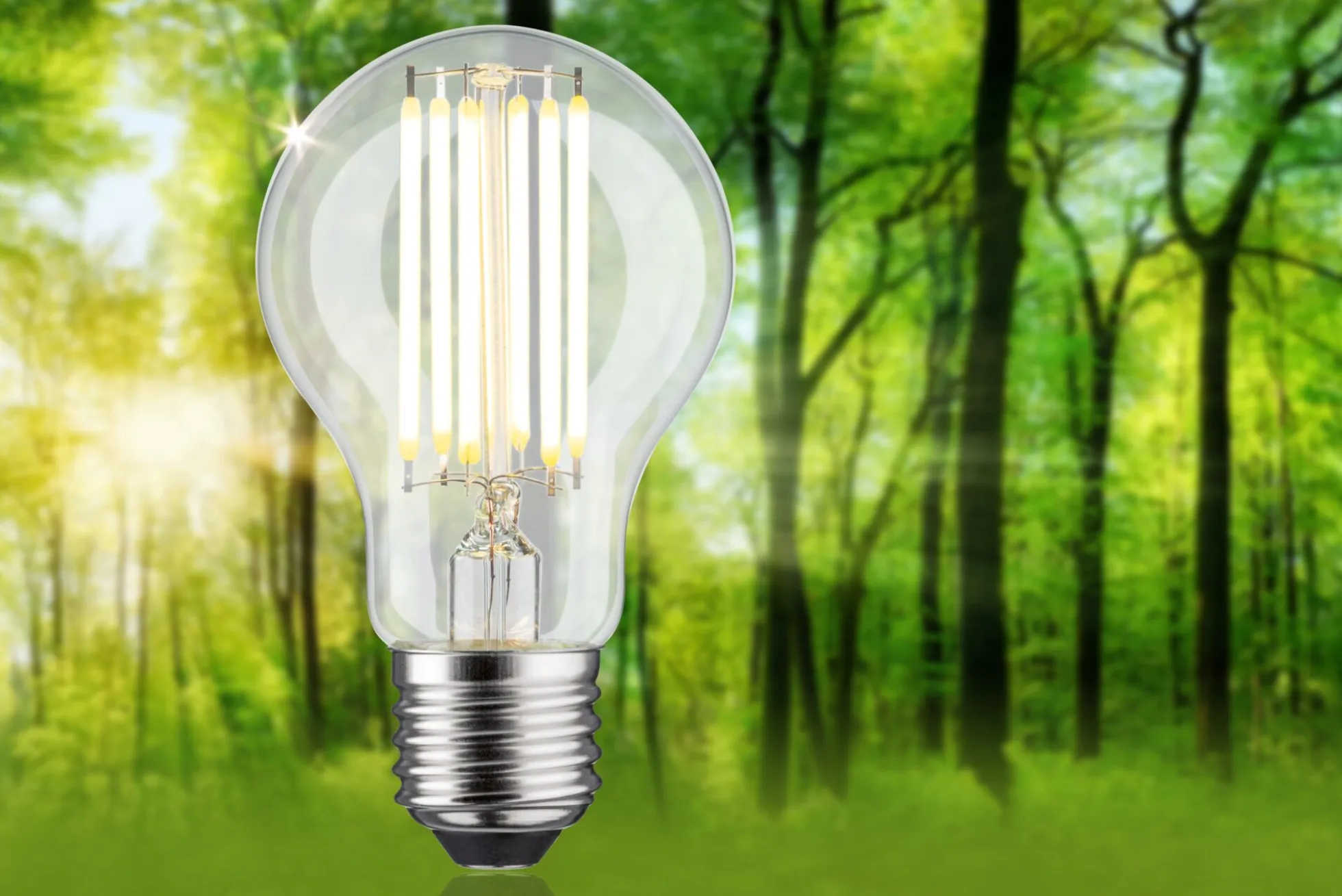 Efficient-Line Filament 230V - LED Birne Einzelleuchte