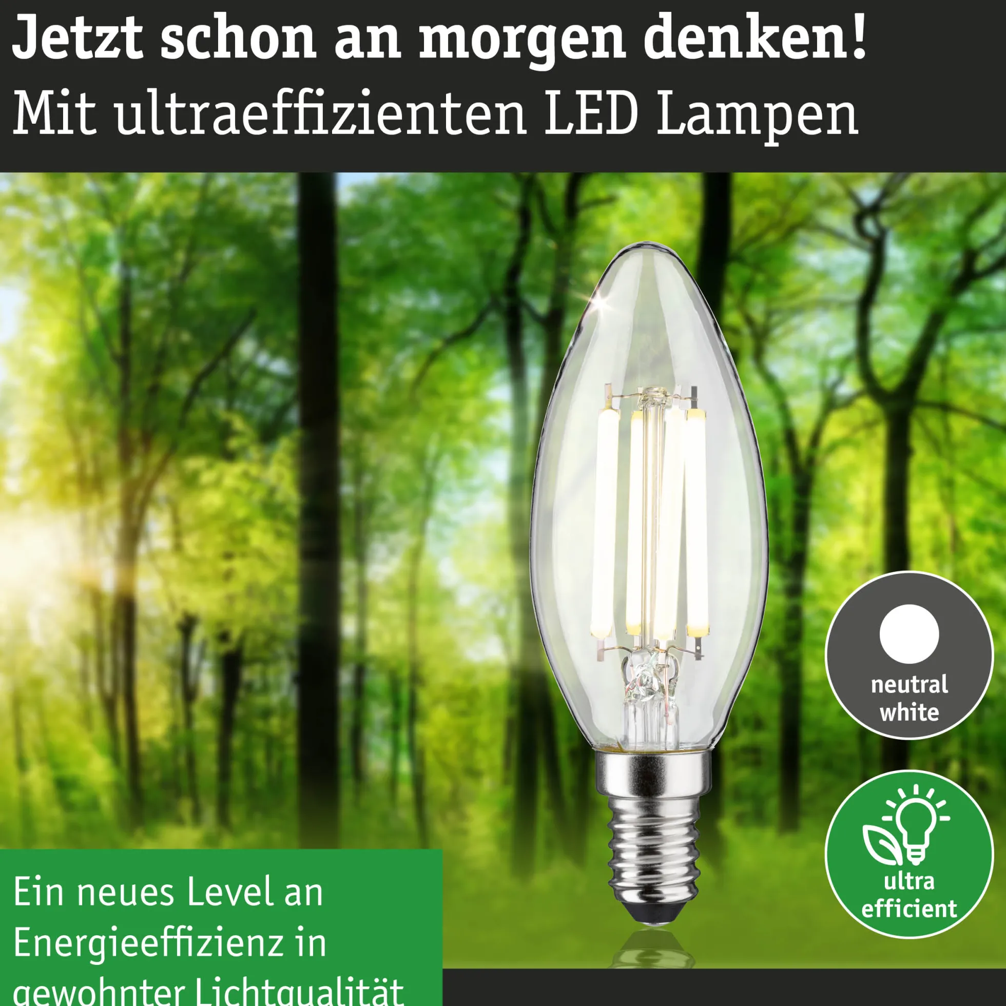 Efficient-Line Filament 230V - LED Kerze E14
