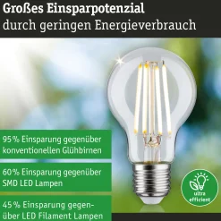 Efficient-Line Filament 230V - LED Birne 1er-Set