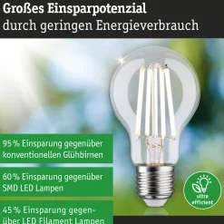 Efficient-Line Filament 230V - LED Birne Einzelleuchte
