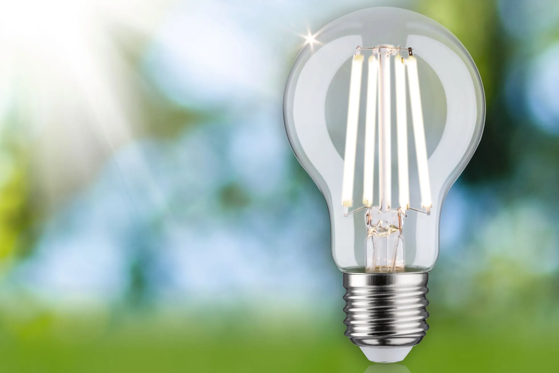 Efficient-Line Filament 230V - LED Birne 1er-Set