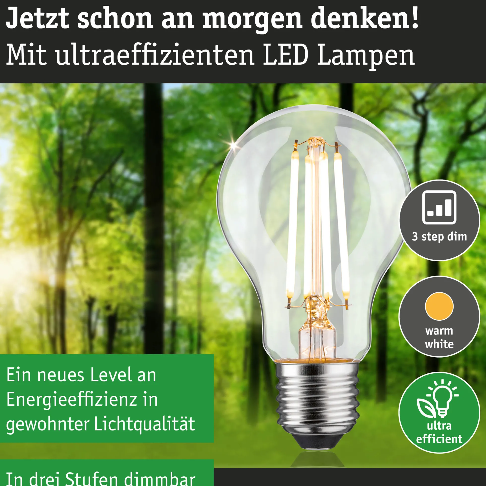 Efficient-Line Filament 230V - LED Birne Einzelleuchte
