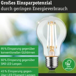 Efficient-Line Filament 230V - LED Birne Einzelleuchte