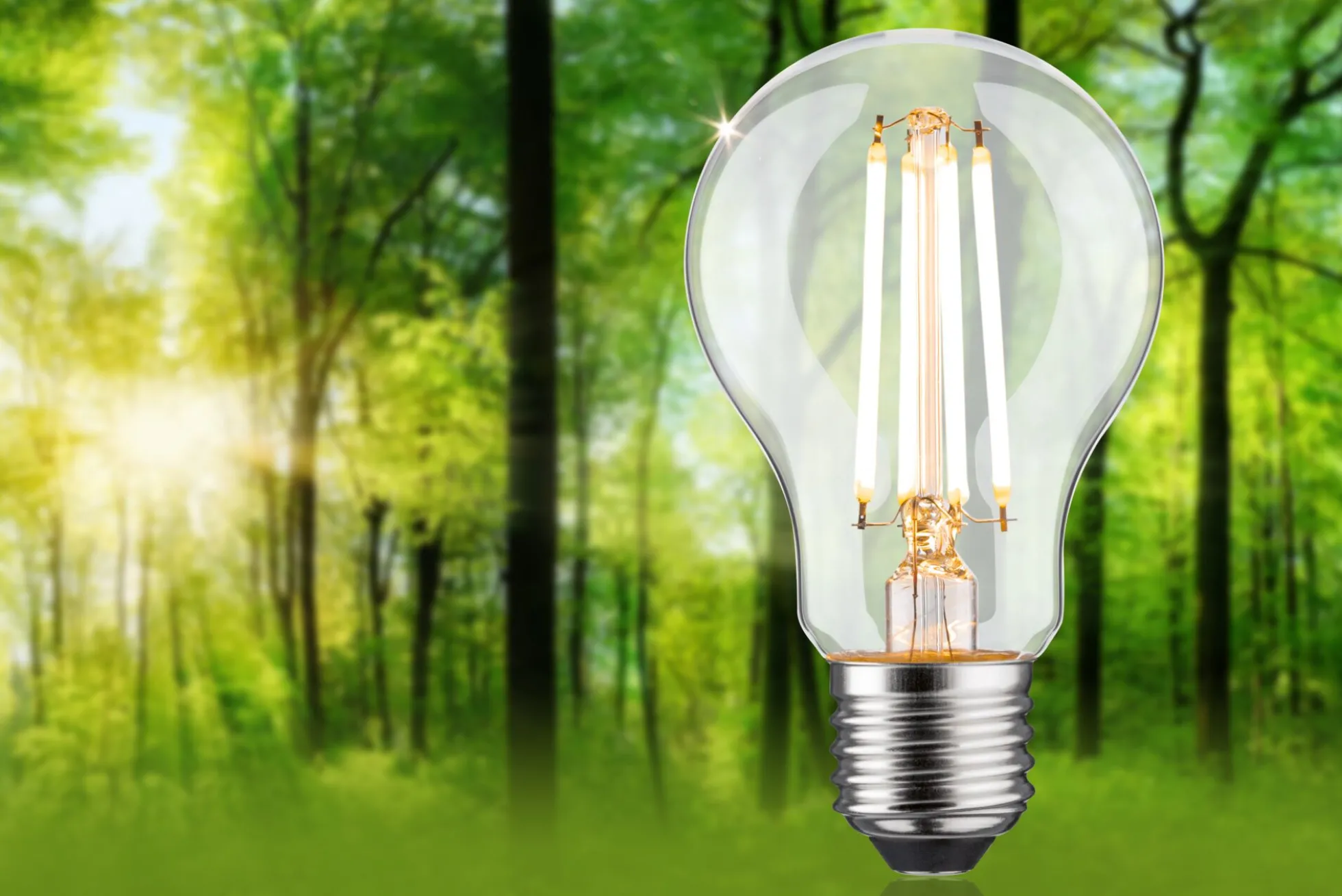 Efficient-Line Filament 230V - LED Birne Einzelleuchte