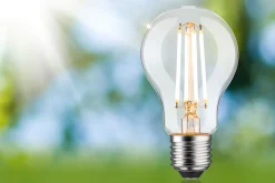 Efficient-Line Filament 230V - LED Birne Einzelleuchte