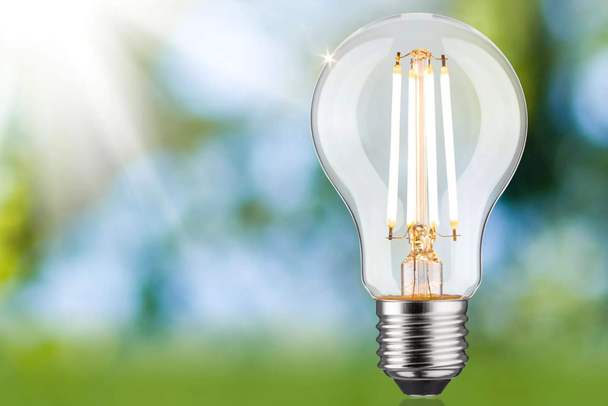 Efficient-Line Filament 230V - LED Birne Einzelleuchte