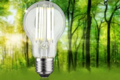 Efficient-Line Filament 230V - LED Birne Einzelleuchte