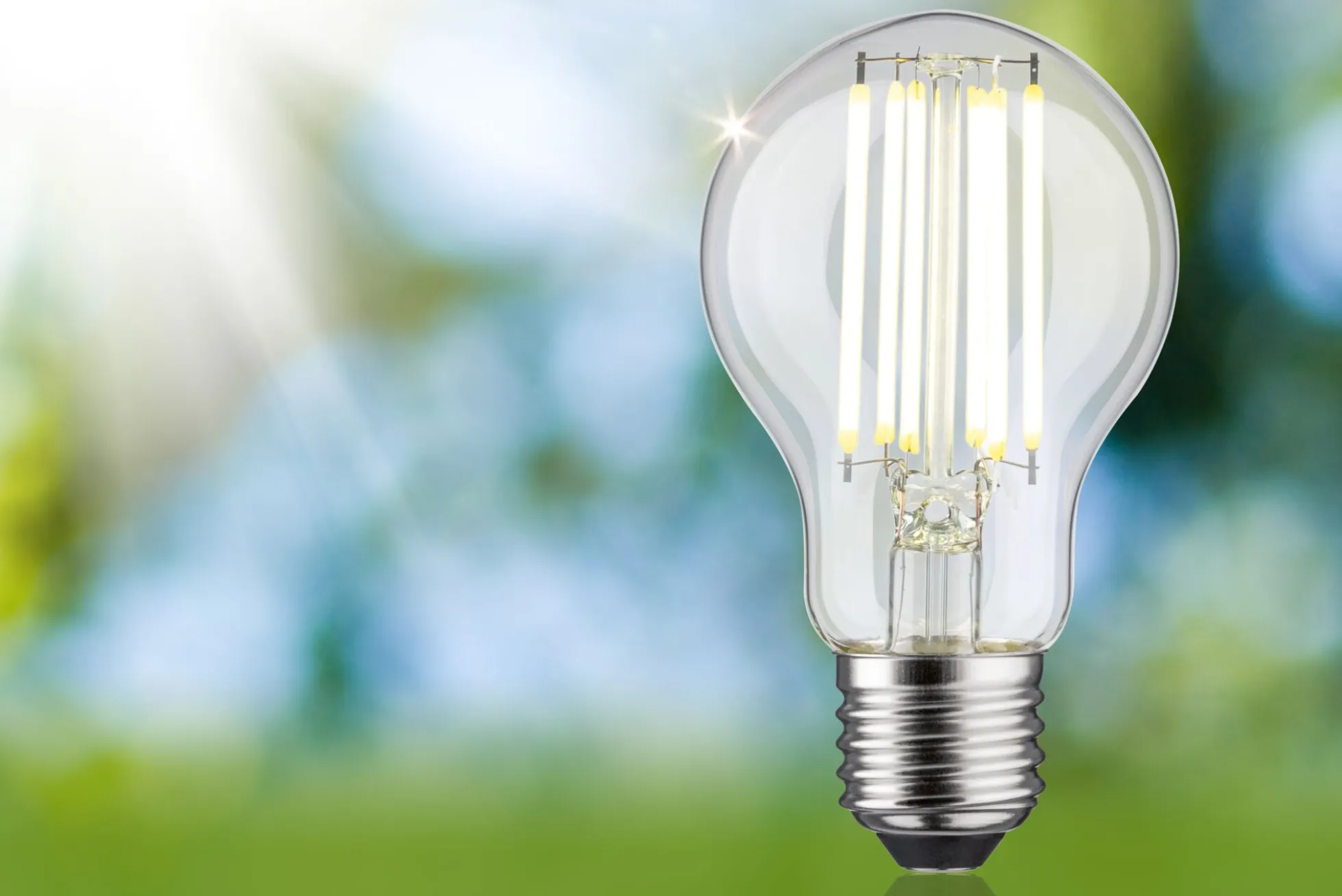 Efficient-Line Filament 230V - LED Birne Einzelleuchte