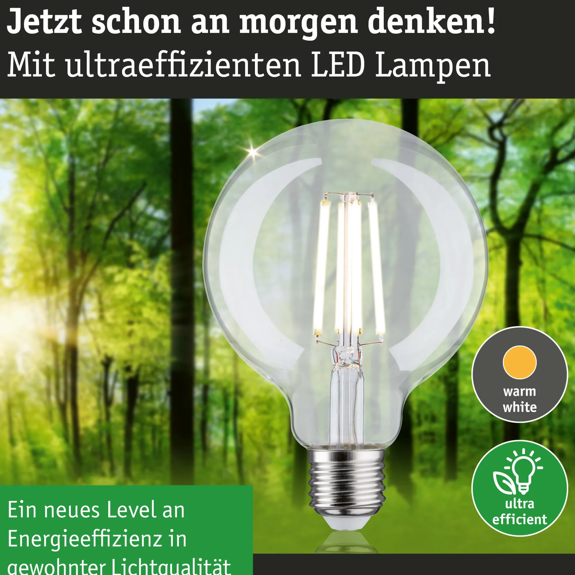 Efficient-Line Filament 230V - LED Globe G95 E27