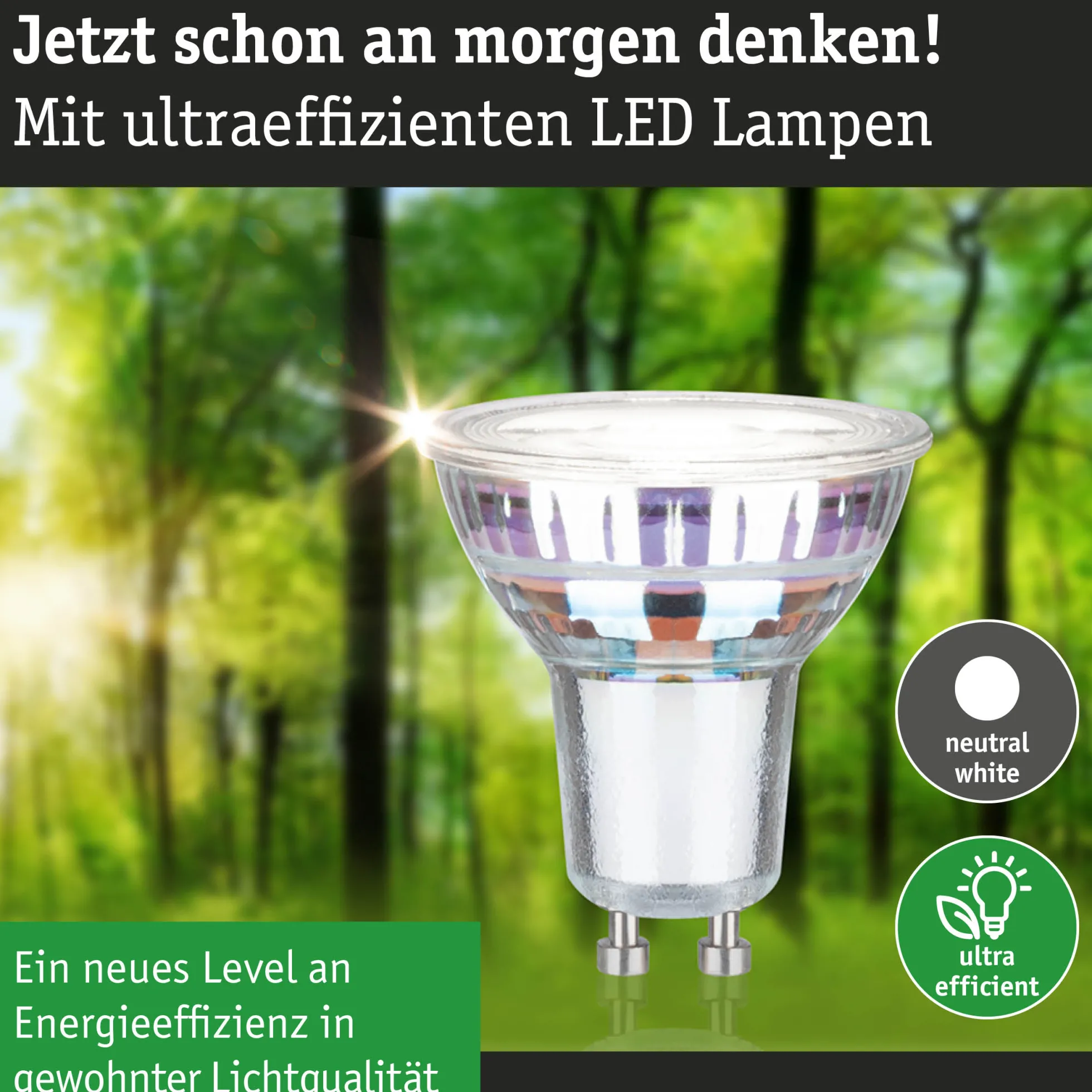 Efficient-Line Standard 230V - LED Reflektor 1er-Set