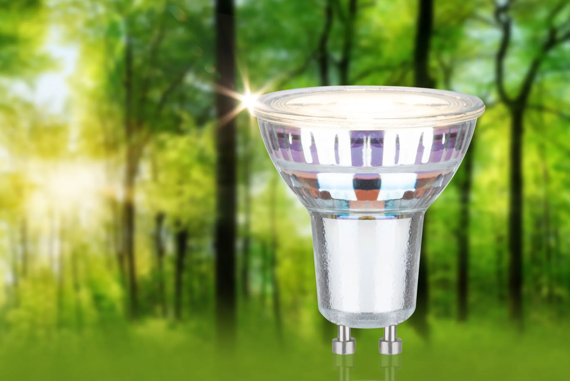 Efficient-Line Standard 230V - LED Reflektor 1er-Set