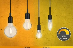 Filament 230V - LED Globe G95 E27