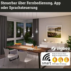 Filament 230V Smart Home Zigbee 3.0 - LED Globe G125 E27