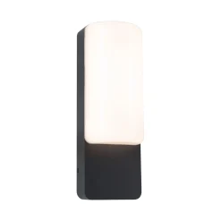 LED Außenwandleuchte - Bonnie